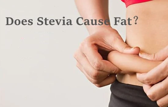 Aiheuttaako Stevia rasvaa?