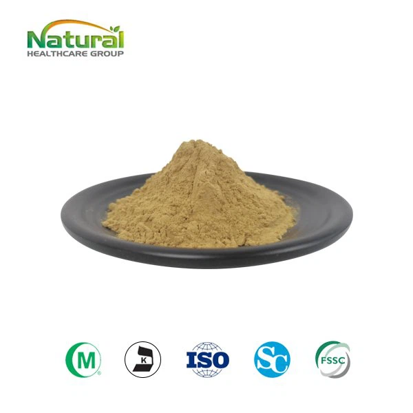 Kava-juuriuutejauhe