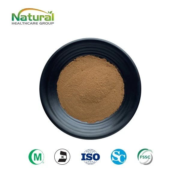 Oolong-teeuutejauhe