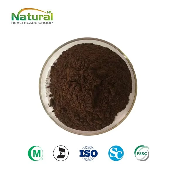 Pu Erh -teeuute